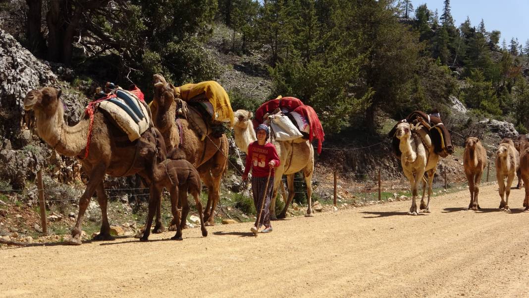 Son konargöçerler Konya'ya geliyor 1